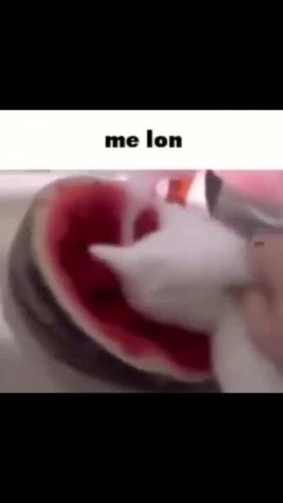 Me lon