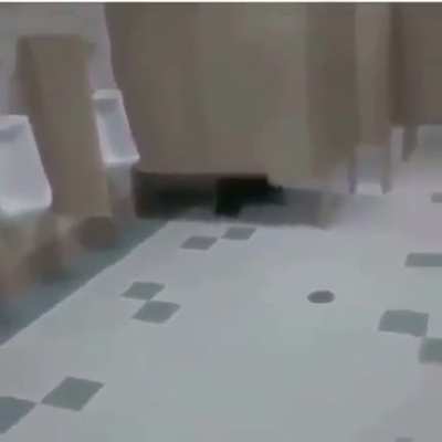 The scream of pain