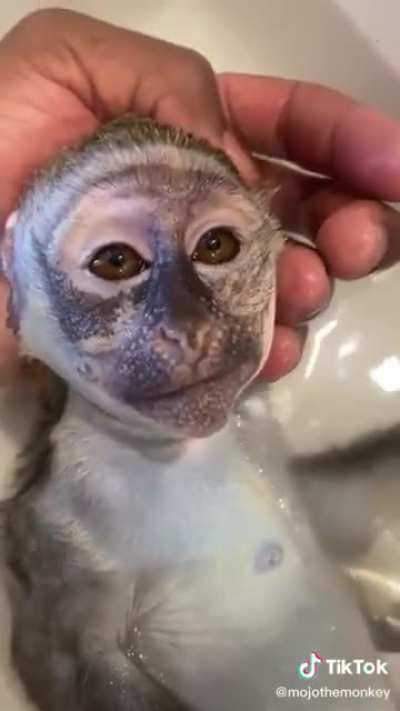 Aww