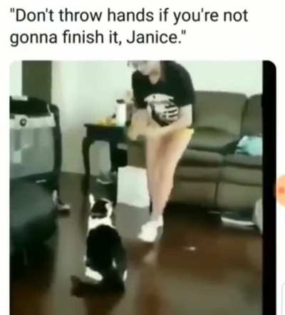 Say what again
