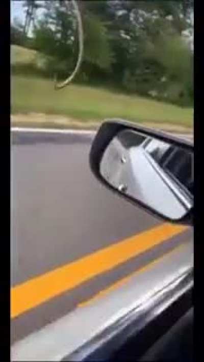 Dude caught a snake
