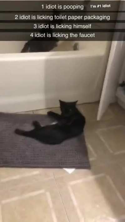 Average trip to my bathroom