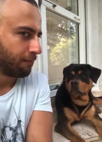 This dog Reaction killed me 😂