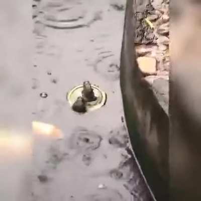 not today