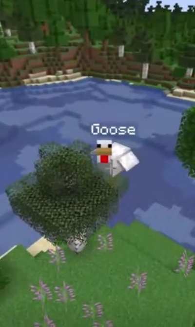 Blursed_Minecraft