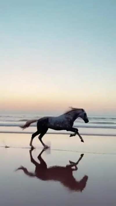 I’m speed