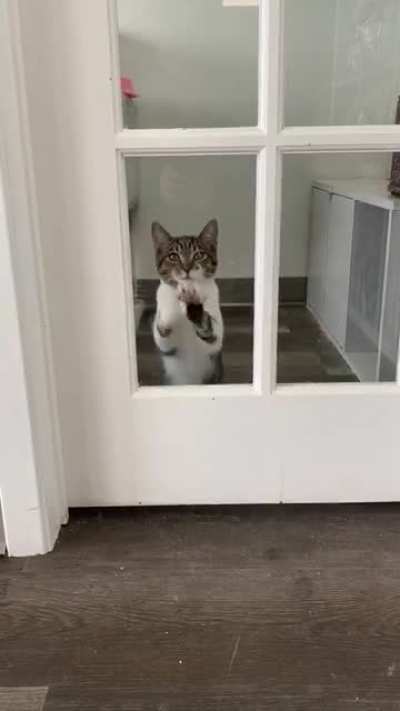 She wanted to see my friend’s doggo