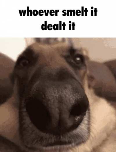 Big sniff