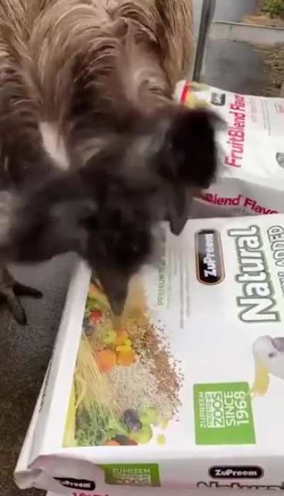 Hey you can't eat these