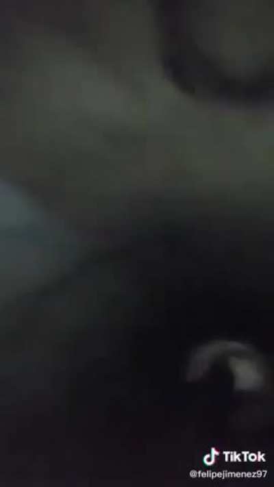 A creepy-looking ass terrifies children in a sewer