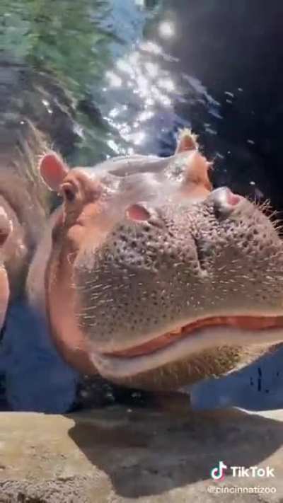 Fiona enjoying some pets