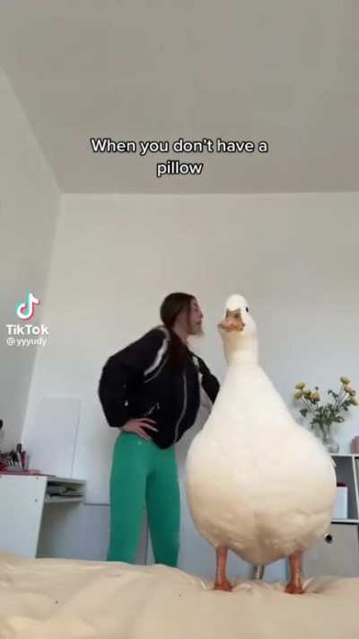 Life hacks
