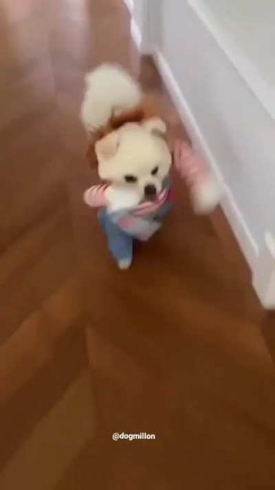 Deadly Doll Pet