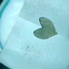 Sand Heart