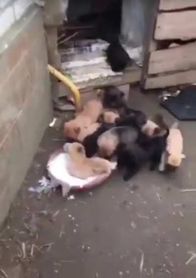 Awwww