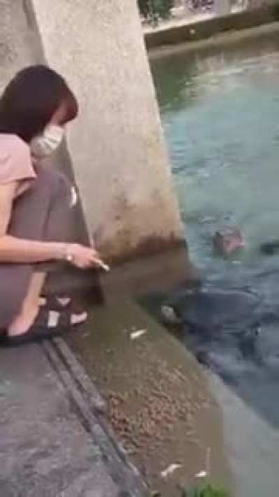 From the deep