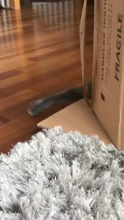 AAAAAAAAA