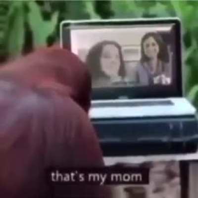Funny monke