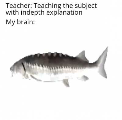 Haha fish go spin