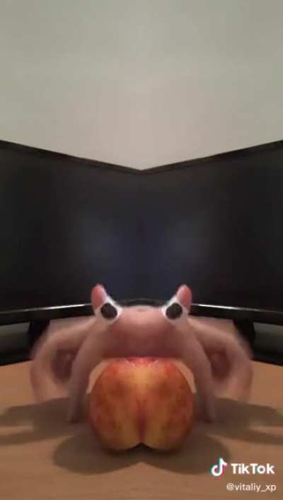 My new favourite video of all time!