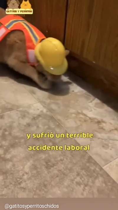 Jorge el inspector