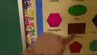 hexagon