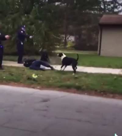Do you think what the officer did was right?