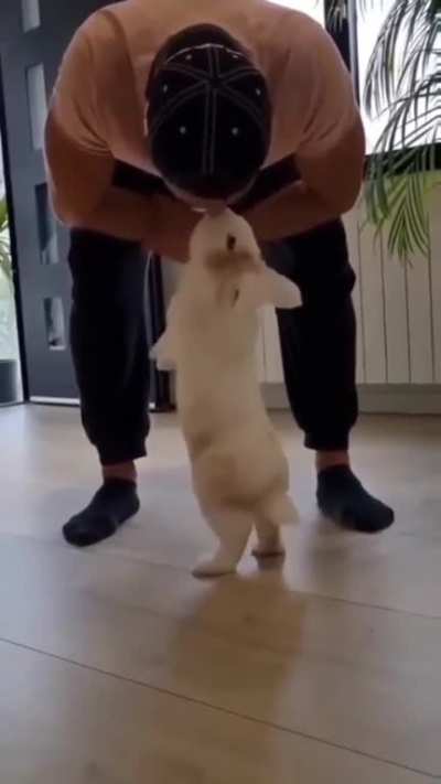 My bunny kiss me❤️🐰