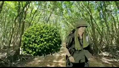 Le cute vietnamese soldier uwu