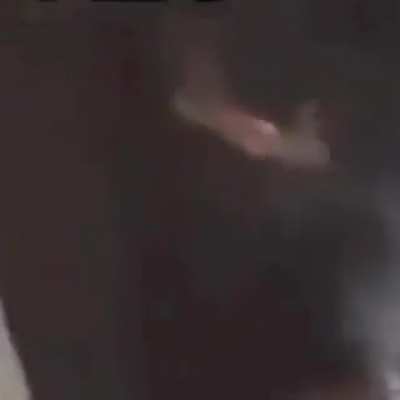 Leaked footage of SpaceX’s new project