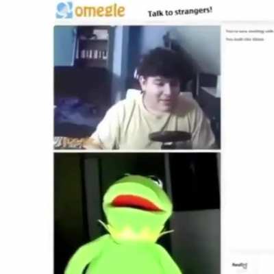 KERMIT NOOOOOOOO