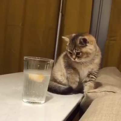 Touch tha lemon