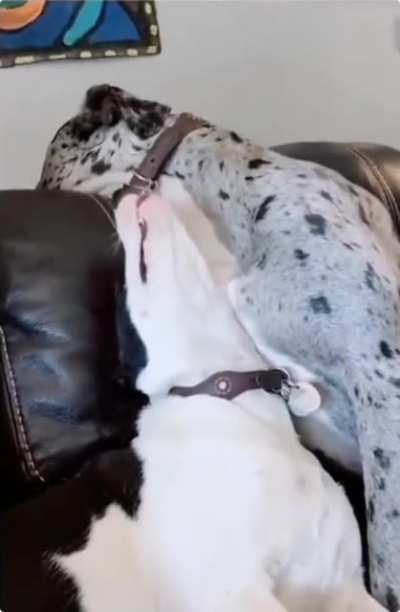Oh, so you wanna play huh?