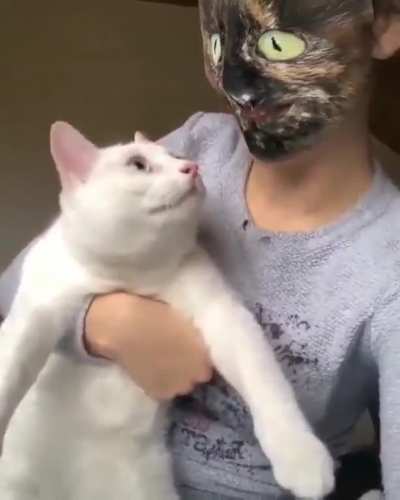 “Whelp, see ya”