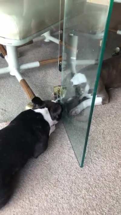 I interrupted their makeout session...