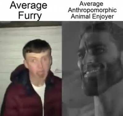 enjoyer_irl