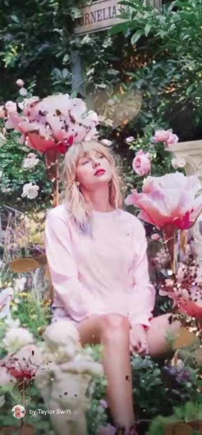 Live Wallpaper Tay