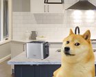 Le fears have arrived