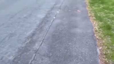 Son you dropped the nuggies