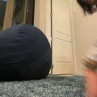 Mizztwerksum