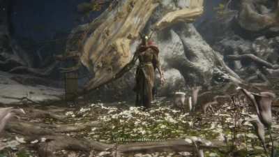 My first encounter with malenia