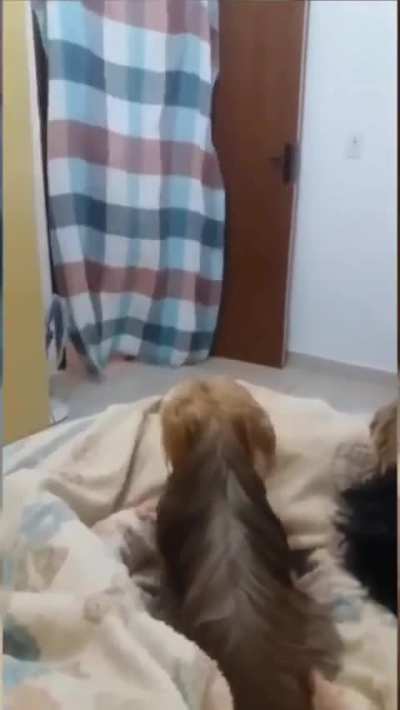 They seized the chance when they spotted it.