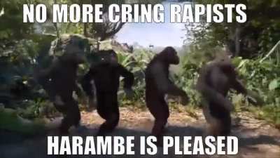 Sex defenders unite