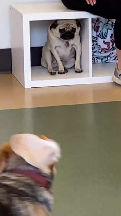Poor guy!