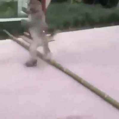 Muquinha esportes radicais