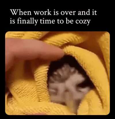 This is the dream