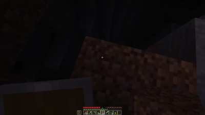 Minecraft is fun