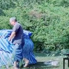 Man plays piano music for rescued elephants to help reduce their anxiety