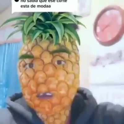 Chico moda'nt