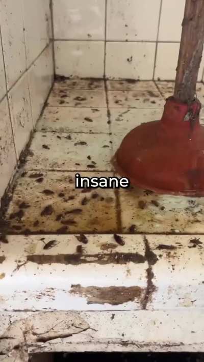 WHO THE HELL LIVES HERE? 🤮